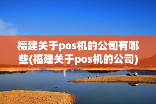 福建关于pos机的公司有哪些(福建关于pos机的公司)
