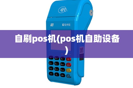 自刷pos机(pos机自助设备)
