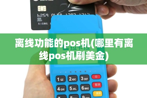 离线功能的pos机(哪里有离线pos机刷美金)