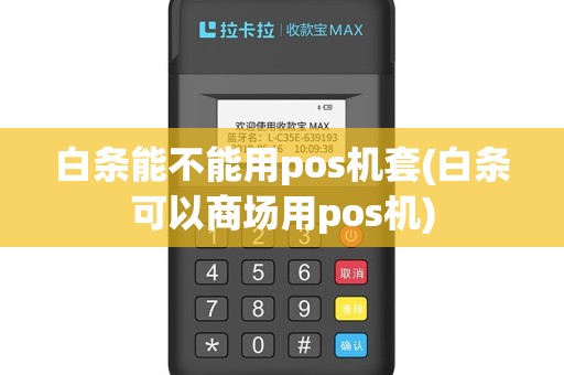 白条能不能用pos机套(白条可以商场用pos机)