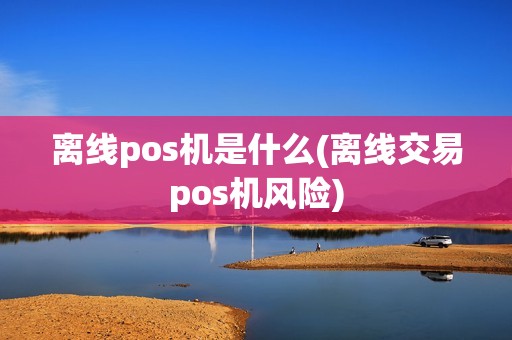 离线pos机是什么(离线交易pos机风险)