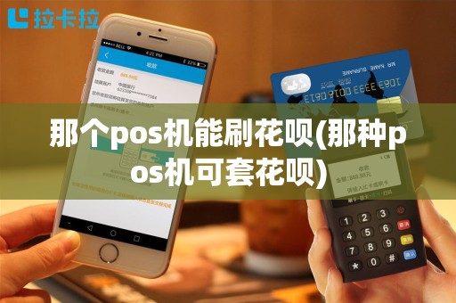 那个pos机能刷花呗(那种pos机可套花呗)