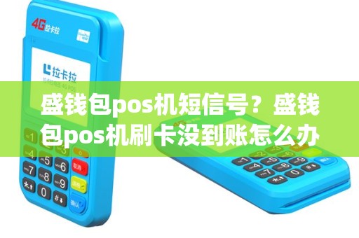 盛钱包pos机短信号？盛钱包pos机刷卡没到账怎么办