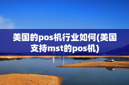美国的pos机行业如何(美国支持mst的pos机)