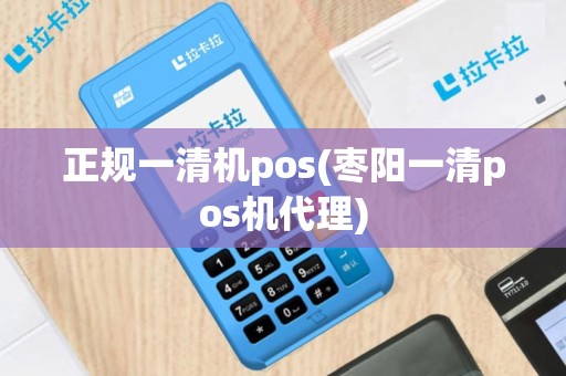 正规一清机pos(枣阳一清pos机代理)