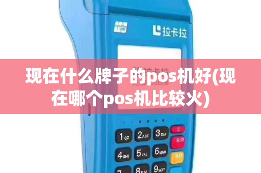 现在什么牌子的pos机好(现在哪个pos机比较火)