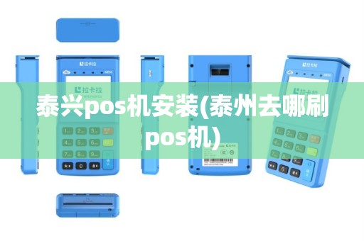 泰兴pos机安装(泰州去哪刷pos机)