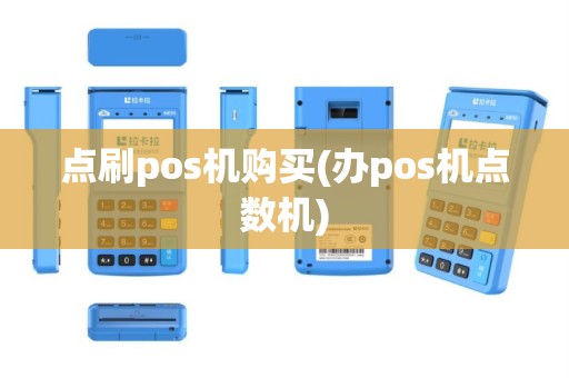 点刷pos机购买(办pos机点数机)