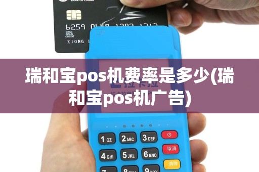 瑞和宝pos机费率是多少(瑞和宝pos机广告)