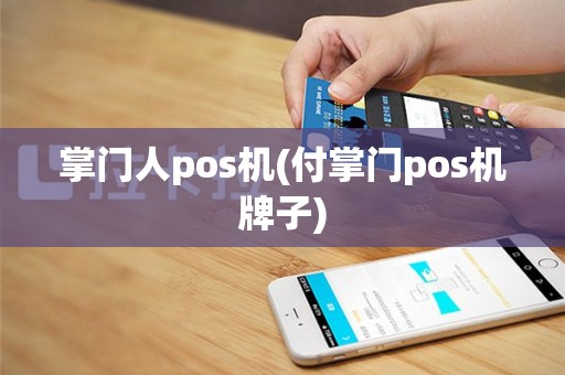掌门人pos机(付掌门pos机牌子)