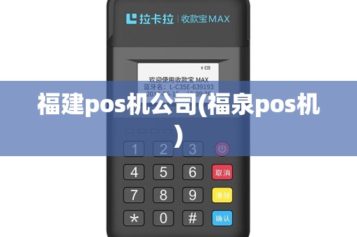 福建pos机公司(福泉pos机)