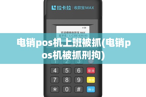 电销pos机上班被抓(电销pos机被抓刑拘)