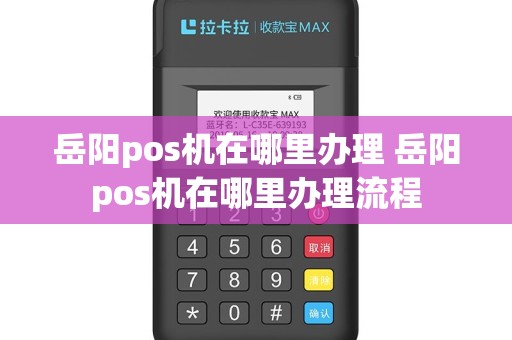 岳阳pos机在哪里办理 岳阳pos机在哪里办理流程