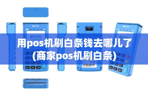 用pos机刷白条钱去哪儿了(商家pos机刷白条)