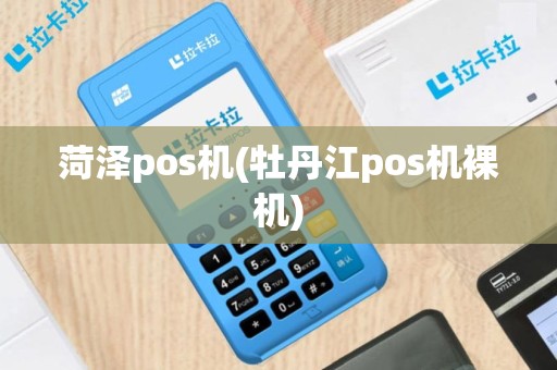 菏泽pos机(牡丹江pos机裸机)