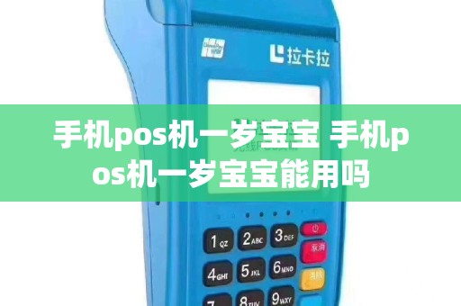 手机pos机一岁宝宝 手机pos机一岁宝宝能用吗