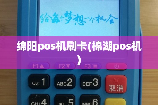 绵阳pos机刷卡(棉湖pos机)