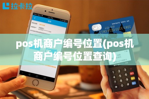 pos机商户编号位置(pos机商户编号位置查询)