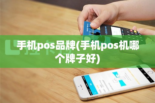 手机pos品牌(手机pos机哪个牌子好)