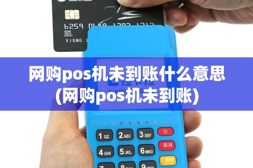 网购pos机未到账什么意思(网购pos机未到账)