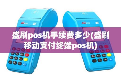 盛刷pos机手续费多少(盛刷移动支付终端pos机)