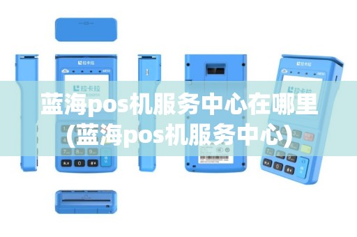 蓝海pos机服务中心在哪里(蓝海pos机服务中心)