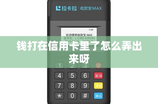 钱打在信用卡里了怎么弄出来呀