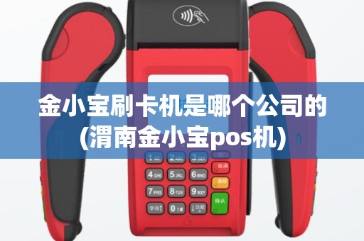 金小宝刷卡机是哪个公司的(渭南金小宝pos机)