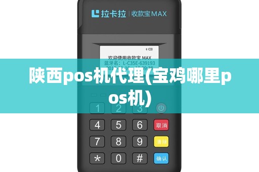 陕西pos机代理(宝鸡哪里pos机)