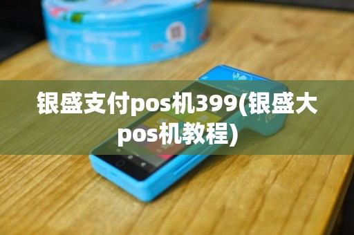 银盛支付pos机399(银盛大pos机教程)