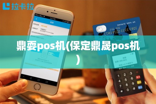 鼎耍pos机(保定鼎晟pos机)