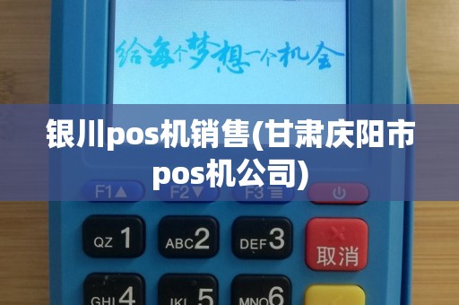 银川pos机销售(甘肃庆阳市pos机公司)