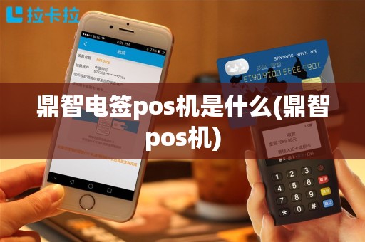 鼎智电签pos机是什么(鼎智pos机)