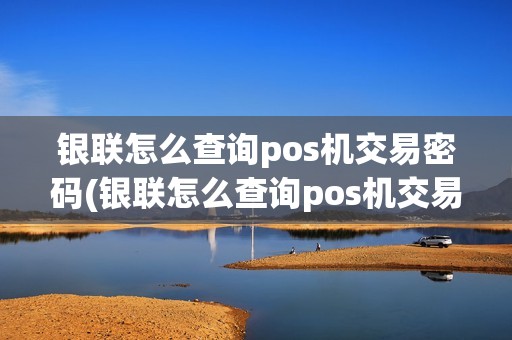 银联怎么查询pos机交易密码(银联怎么查询pos机交易)