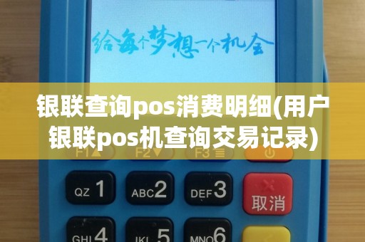 银联查询pos消费明细(用户银联pos机查询交易记录)