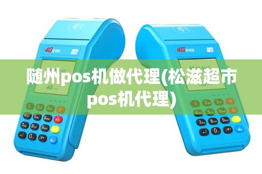 随州pos机做代理(松滋超市pos机代理)