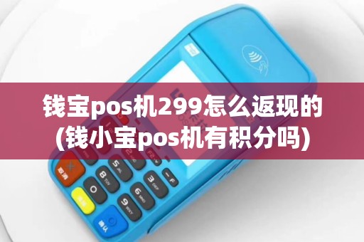 钱宝pos机299怎么返现的(钱小宝pos机有积分吗)