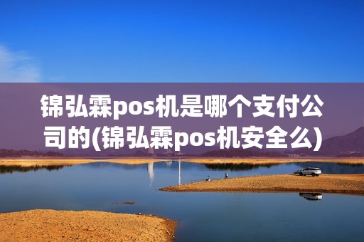 锦弘霖pos机是哪个支付公司的(锦弘霖pos机安全么)
