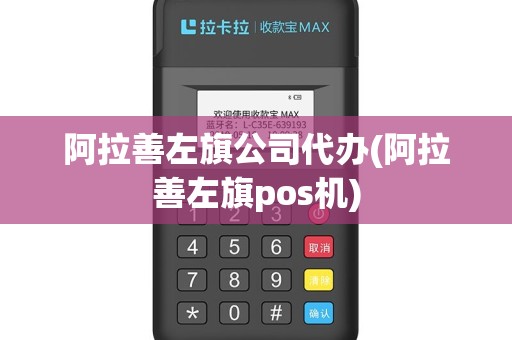 阿拉善左旗公司代办(阿拉善左旗pos机)