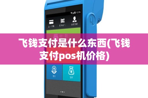 飞钱支付是什么东西(飞钱支付pos机价格)