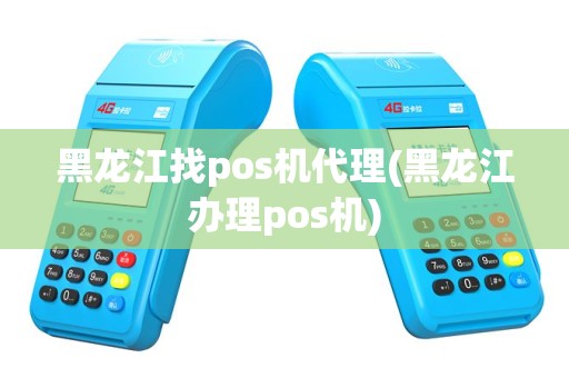 黑龙江找pos机代理(黑龙江办理pos机)