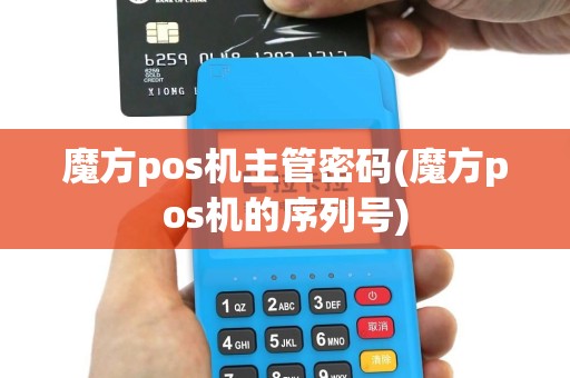 魔方pos机主管密码(魔方pos机的序列号)