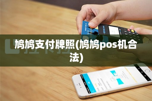 鸠鸠支付牌照(鸠鸠pos机合法)