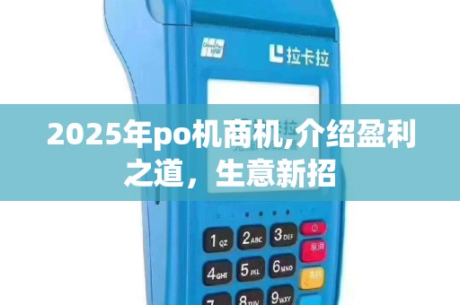2025年po机商机,介绍盈利之道，生意新招