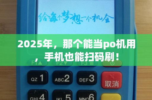 2025年，那个能当po机用，手机也能扫码刷！