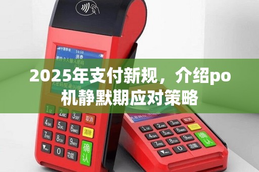2025年支付新规，介绍po机静默期应对策略