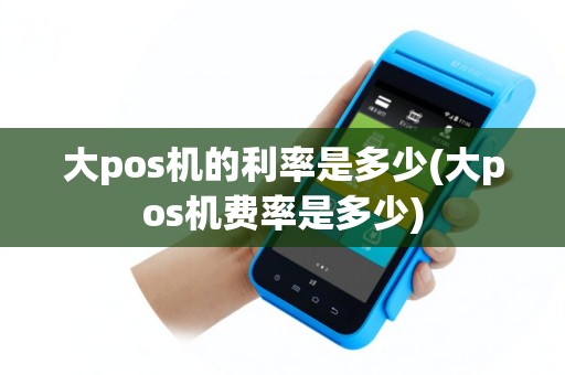 大pos机的利率是多少(大pos机费率是多少)