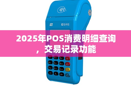 2025年POS消费明细查询，交易记录功能