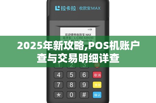 2025年新攻略,POS机账户查与交易明细详查