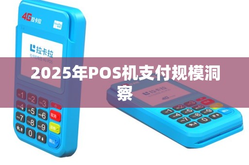 2025年POS机支付规模洞察